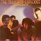 The Teardrop Explodes - Kilimanjaro