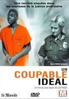 Un coupable ideal