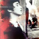 Rainbirds - Forever