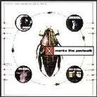X Marks The Pedwalk - Four Fit
