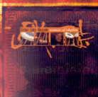 Ustad Zakir Hussain - Essence Of Rhythm