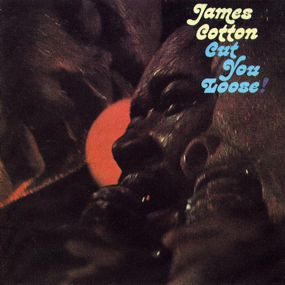 James Cotton - Cut You Loose