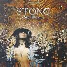 The Stone - Cover The Sun