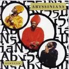 Abyssinians - Reunion