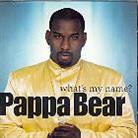 Pappa Bear - What's My Name