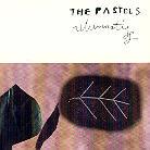 The Pastels - Illuminati