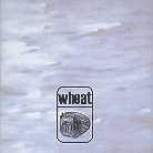 Wheat - ---