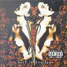 Vanilla Ice - Hard To Swallow