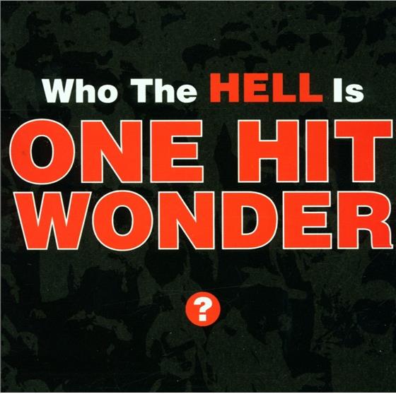 One Hit Wonder - Who The Hell Is