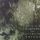 Susan McKeown - Bushes & Briars