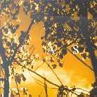 GAS - Königsforst