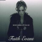 Faith Evans - Never Gonna Let You Go