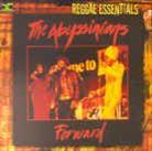 Abyssinians - Forward