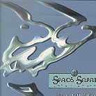 Space Safari - Early Reflection