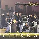 Tierra - Street Corner Gold