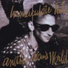 Immaculate Fools - Another Mans World