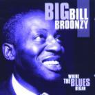 Big Bill Broonzy - Where The Blues Began