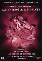 La trilogie de la vie - Les Contes de Canterbury / Le Décaméron / Les mille et une nuits 3 DVD