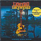 Lynyrd Skynyrd - Then And Now - Best Of