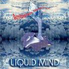 Liquid Mind - Ambience Minimus