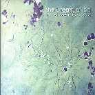 The Breath Of Life - Silver Drops