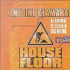 Antoine Clamaran - House Floor 2