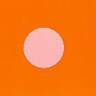 Thomas Brinkmann - Rosa