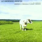 Le Hammond Inferno - Move Your Mp3
