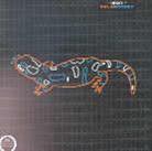 Isan - Salamander