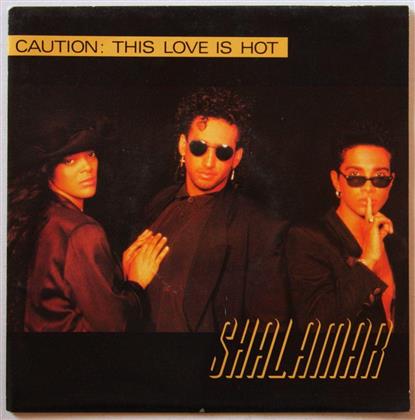Shalamar - Wake Up