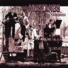 The Mustangs - ---