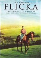 My friend Flicka (1943)