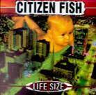 Citizen Fish - Life Size
