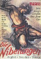Die Nibelungen (1924) s/w, 2 DVDs