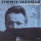 Jimmie Vaughan - Do You Get The Blues