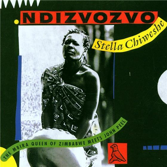 Stella Chiweshe - Ambuya & Ndizvozvo