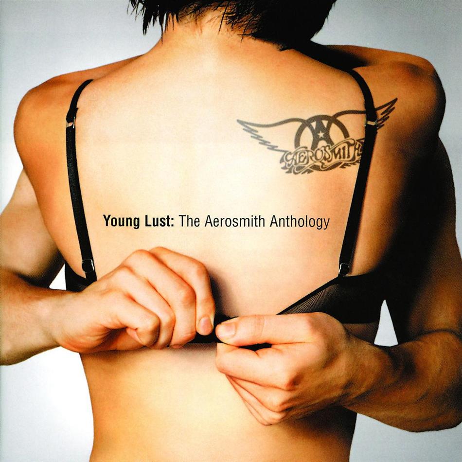 Aerosmith - Young Lust - Anthology 2 CD
