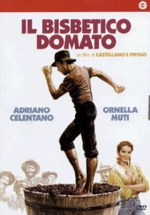 Il bisbetico domato (1980)