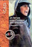 Un temps pour l'ivresse des chevaux