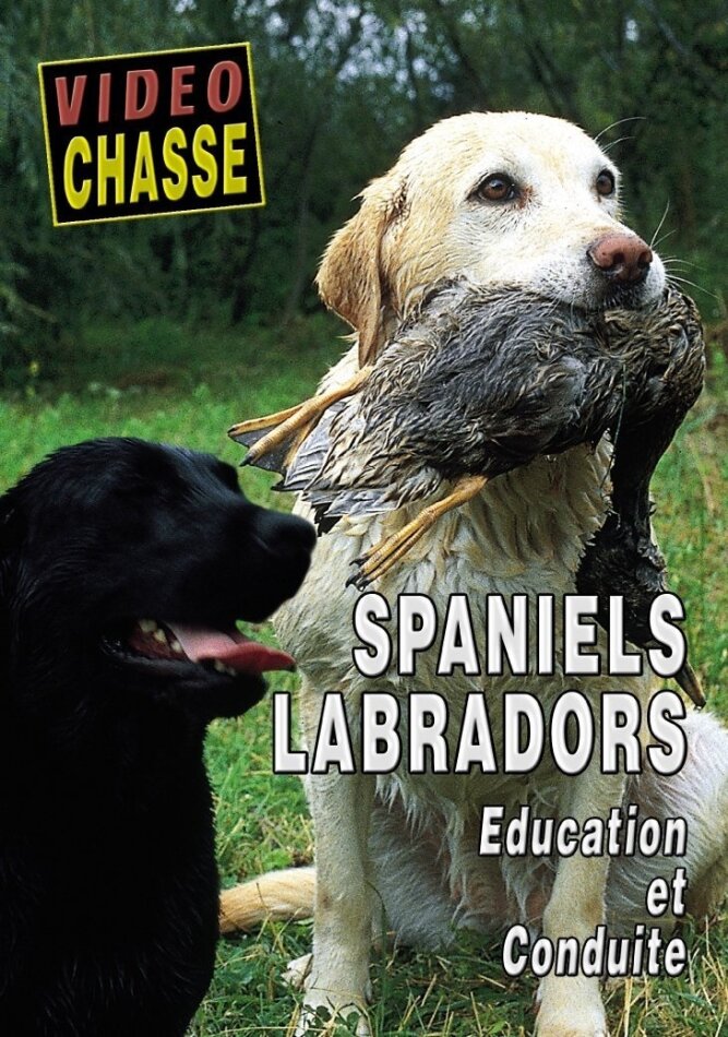 Spaniels Labradors - Education et conduite Collection Video Chasse