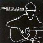 Mason Jennings - Birds Flying Away