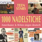 1000 Nadelstiche - Various Vol. 5