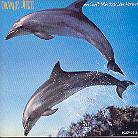 Orange Juice - You Can't Hide Your Love Japan Edition