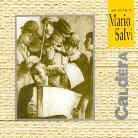 Mario Salvi - Caldera
