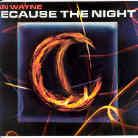 Jan Wayne - Because The Night