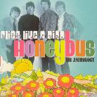 Honeybus - She Flies Like A Bird 2 CD