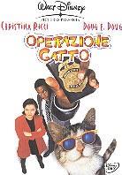 Operazione gatto