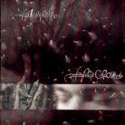 Bassi Maestro - Background