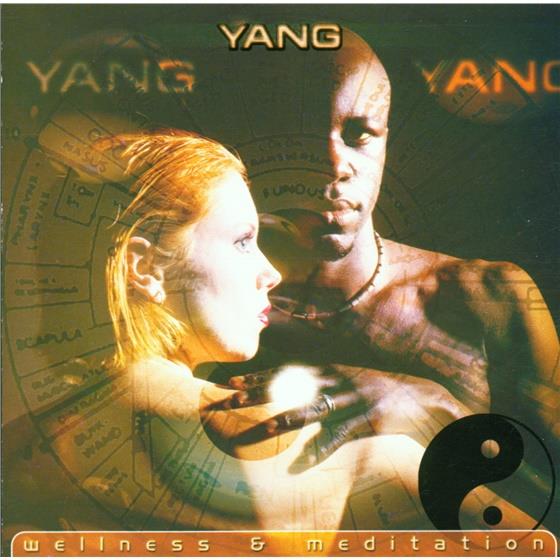 Wen-Sinn Yang - Various (Wellness & Meditation)