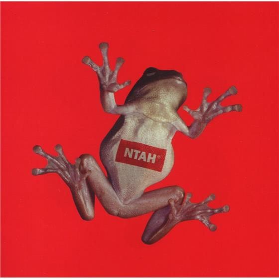 Adrian Sherwood - Never Trust A Hippy